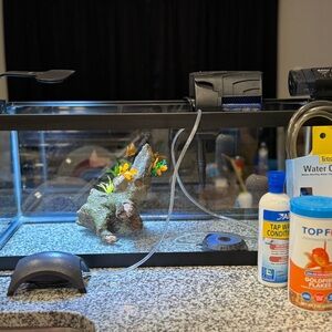 Glass Aquarium Tank with Decorative Driftwood and Plants - Clear/Black